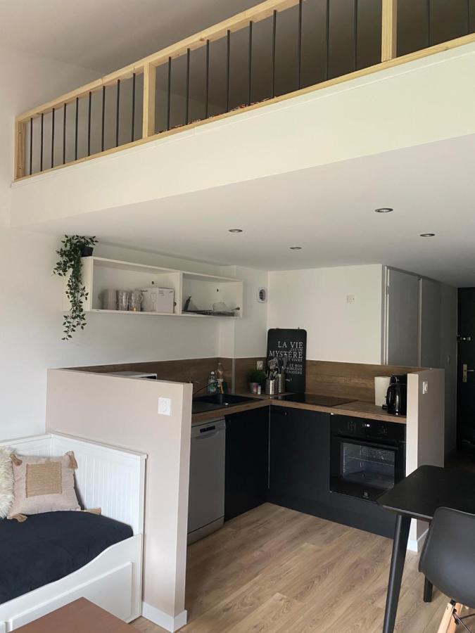 Appartement Cosy, Pied De Pistes - Les Deux Alpes Exteriér fotografie